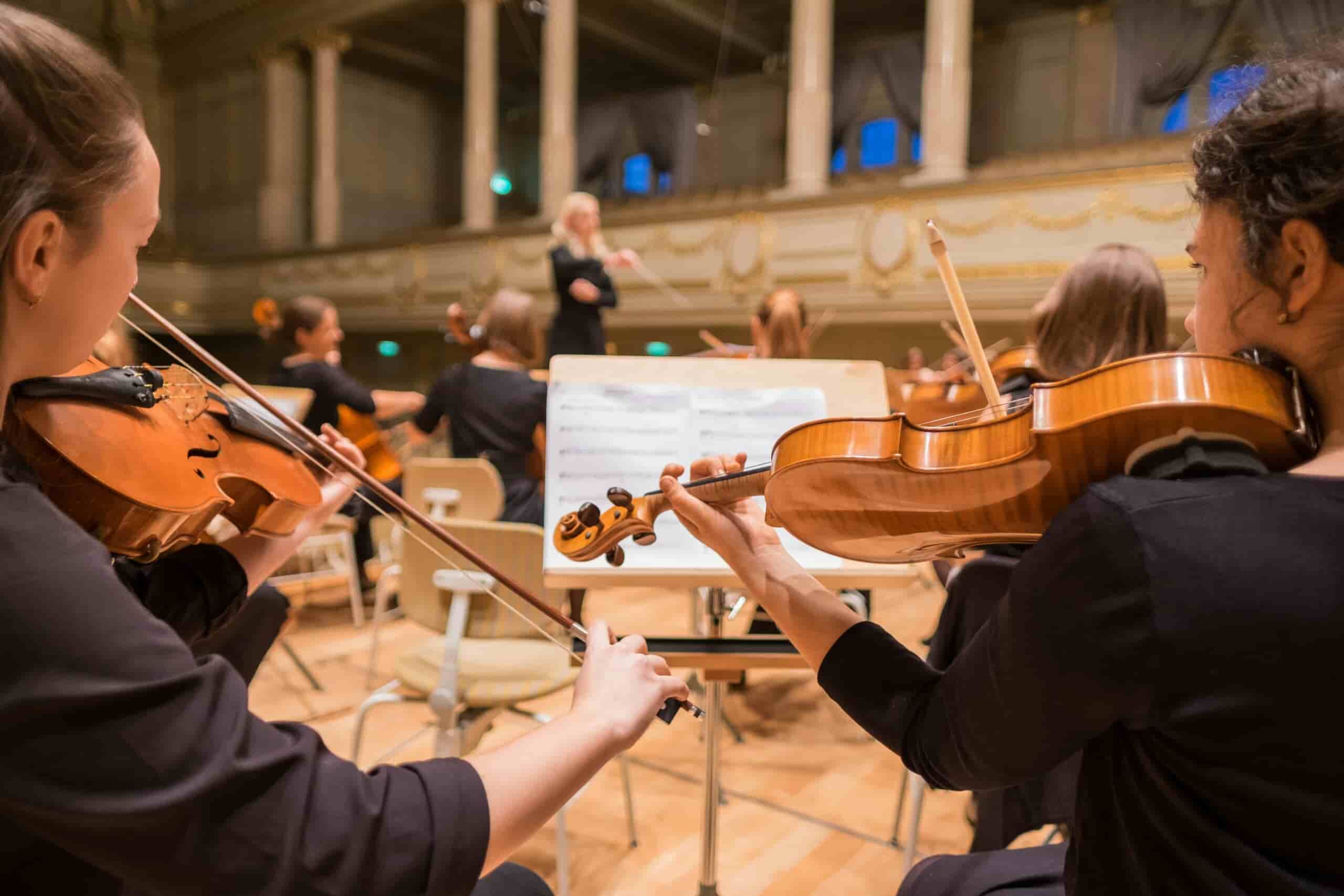 Rear shot view of string orchestra