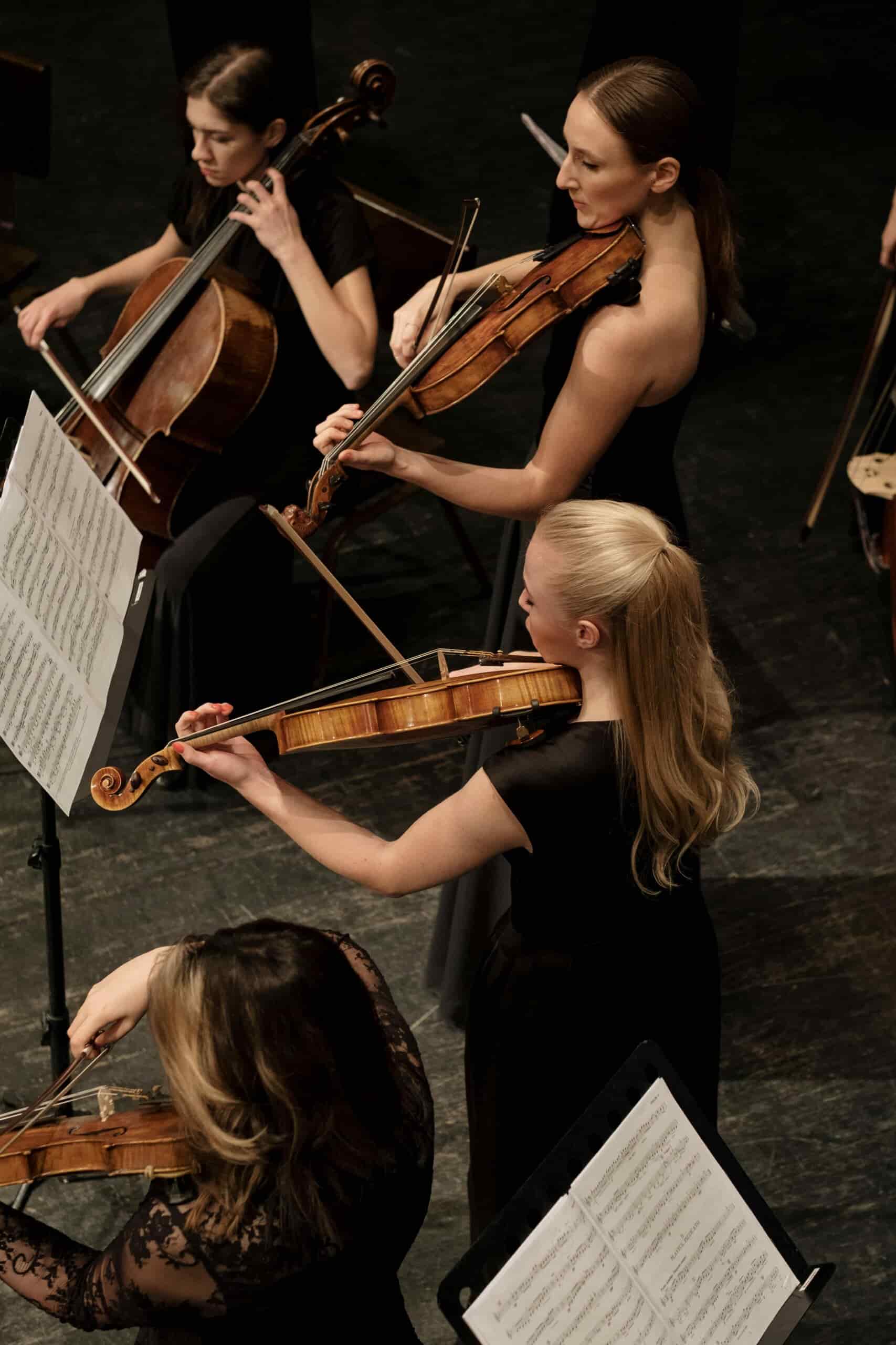 Overhead shot of viola player in orchestra