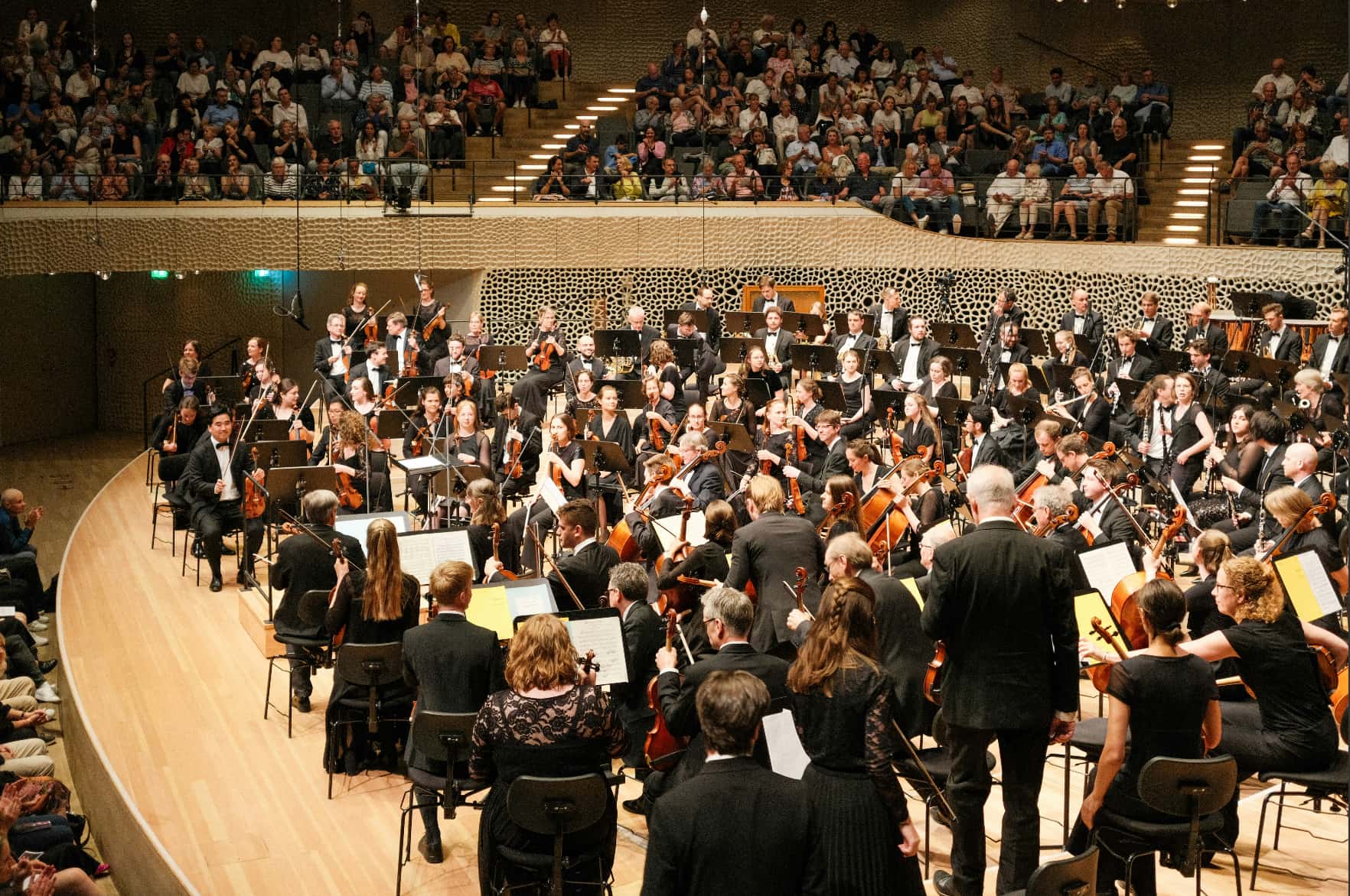 Orchestra with strings and woodwinds