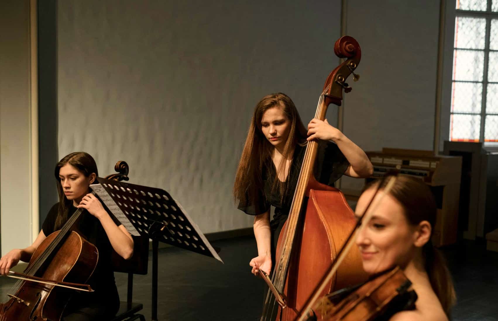 Double bass player with cello players in orchestra