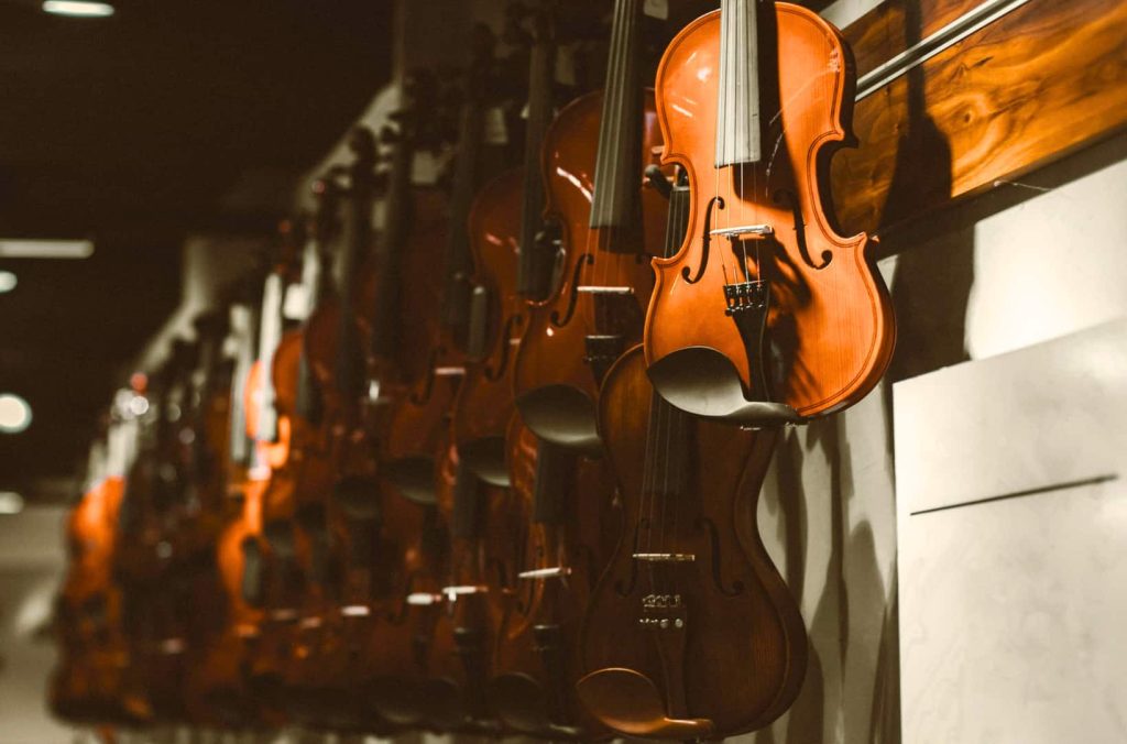 Violins in music shop