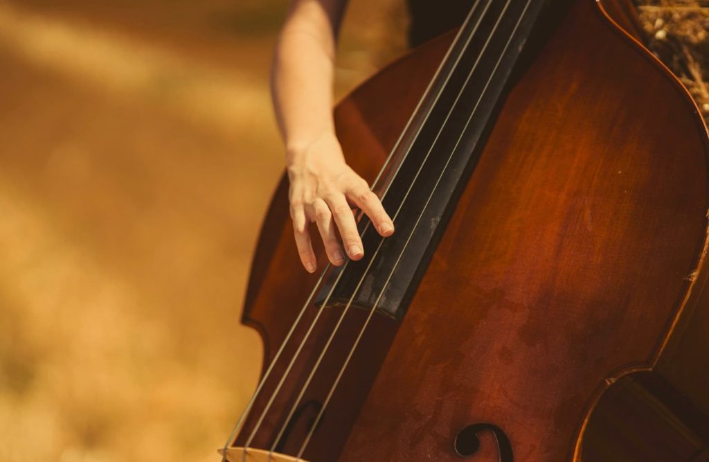 A close up of a double bass player's hand plucking double bass