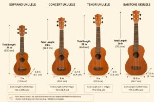 Comparison diagram of soprano, concert, tenor and baritone ukuleles