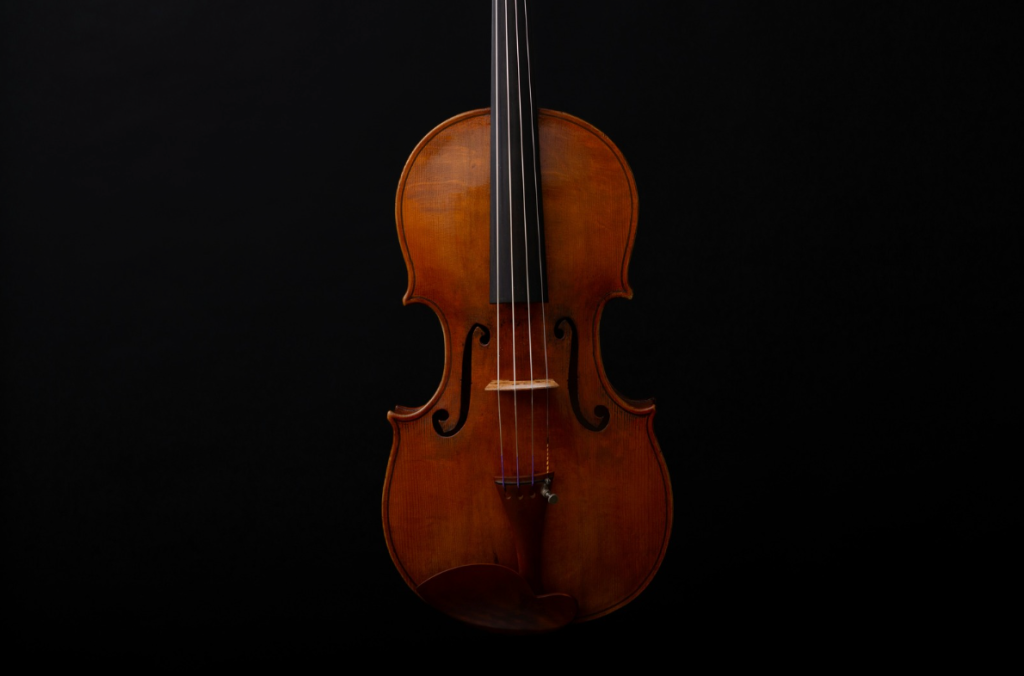 A viola in the black background.