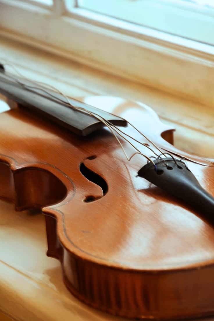 violin strings