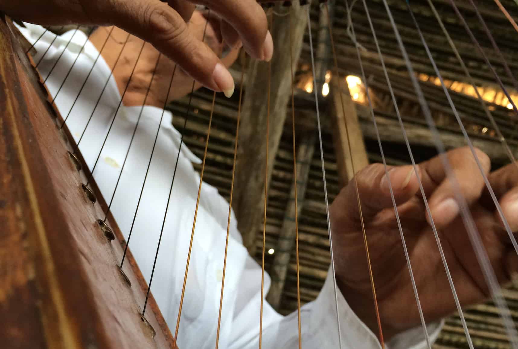 man playing harp