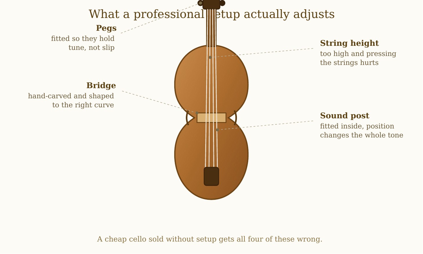 Diagram showing the four parts of a cello that a professional setup adjusts: bridge, sound post, string height and pegs