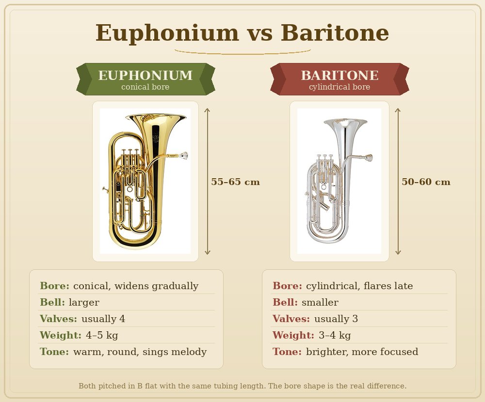 Euphonium and baritone side by side showing the differences in bore shape, bell size and valve count