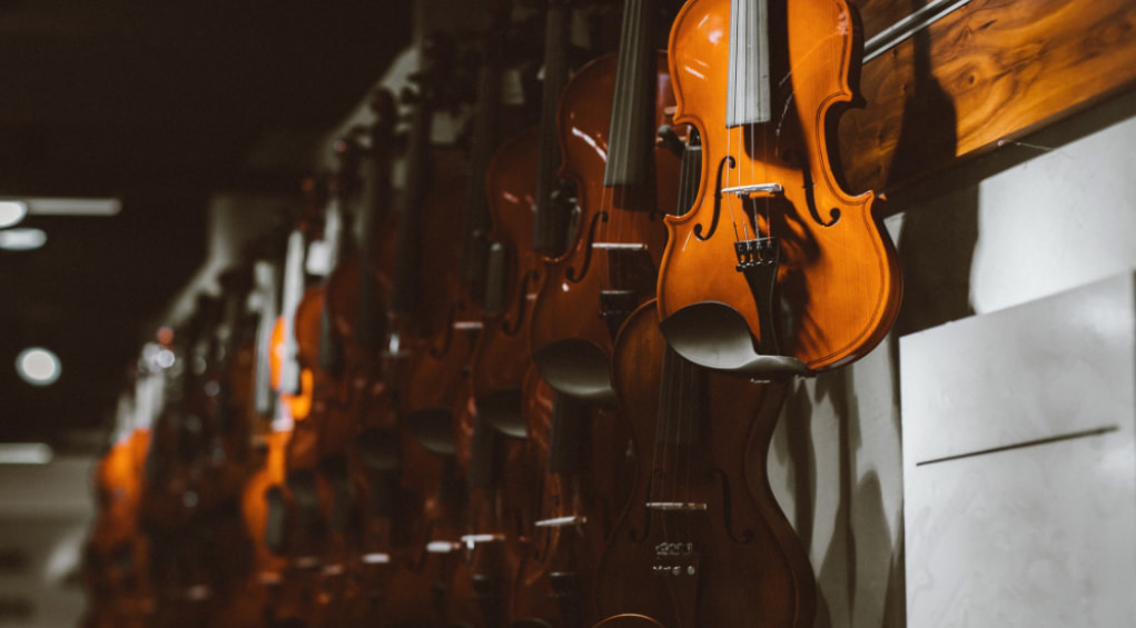 A selection of violins hanging on a showroom wall for beginners choosing their first violin